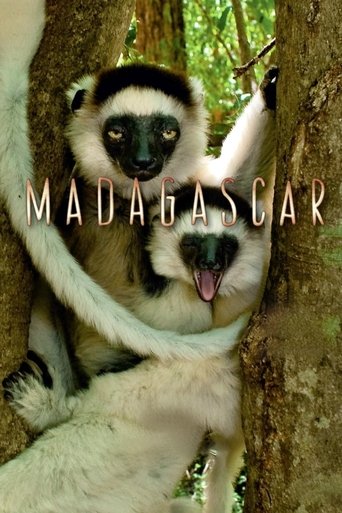 This vibrant poster captures the lively spirit of "Madagascar" with its colorful tropical jungle setting. The image features two monkeys nestled in a tree, exuding a playful and adventurous mood. The warm earthy tones of the bark contrast beautifully with the bright greens and oranges of the foli...