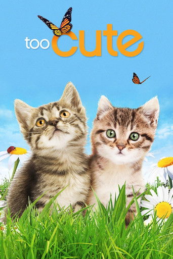 The TV show poster for "Too Cute" features two adorable kittens nestled in vibrant green grass against a bright blue sky. The playful, whimsical design with butterflies and cheerful colors evokes a sense of joy and innocence, perfectly capturing the show's lighthearted and heartwarming tone.