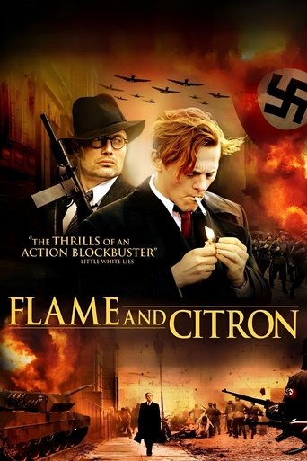 This poster captures the gritty atmosphere of World War II with a Nazi flag and swastika, featuring two men in period clothing against a fiery backdrop. The tagline hints at a dark, historical drama, while the soldiers in the background evoke a sense of chaos and conflict.