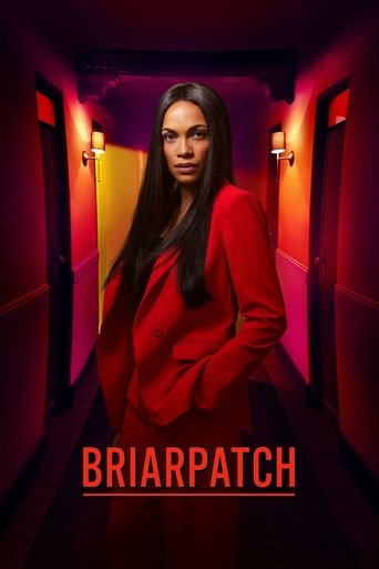 Briarpatch poster