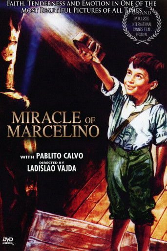 The poster features a young boy in green shorts and a white shirt, holding a glowing golden object against a dark background. The title "Miracle of Marcelino" is prominently displayed in gold lettering. The overall mood is magical and hopeful, with warm lighting enhancing the sense of wonder.