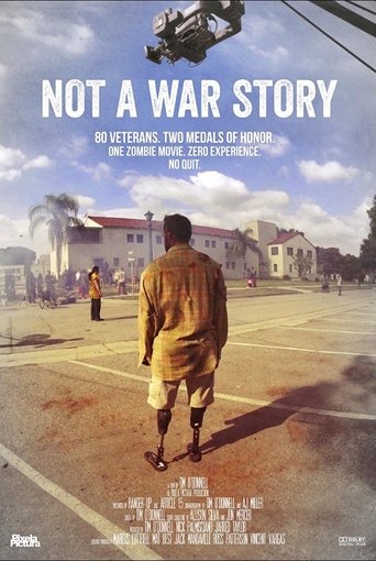 The poster features a lone soldier in a tan uniform walking away from the camera, evoking a sense of solitude and resilience. The muted earth tones of the background contrast with the vibrant blue sky and white clouds, creating a somber yet hopeful atmosphere. The film's title, "Not a War Story,"...