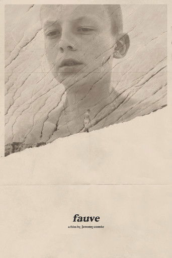 A young boy with a serene expression dominates the poster, his face framed by a textured, cracked wooden surface. The muted sepia tones evoke a nostalgic, melancholic mood, while the minimalist design emphasizes the emotional depth of the image.