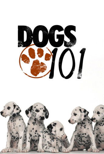 The poster features a group of Dalmatian puppies sitting side by side, exuding a playful and friendly mood. The bold black text "DOGS 101" dominates the top, with a paw print icon adding a touch of whimsy. The white background enhances the vibrant colors of the puppies' spotted fur, creating a ch...