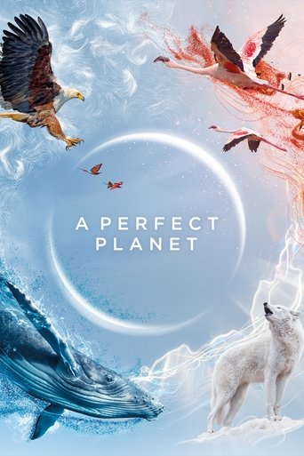 This poster features a serene, ethereal landscape with a glowing white orb in the center, surrounded by vibrant birds in red, orange, and black feathers. A majestic blue whale glides gracefully on the left, while a white wolf stands peacefully on the right. The overall mood is one of tranquility ...