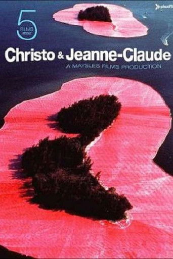 The poster features a striking pink and black abstract design with a silhouette of a person in the center. The title "Christo & Jeanne-Claude" is prominently displayed at the top. The overall mood is mysterious and artistic, with a sense of depth and mystery conveyed through the blend of colors a...