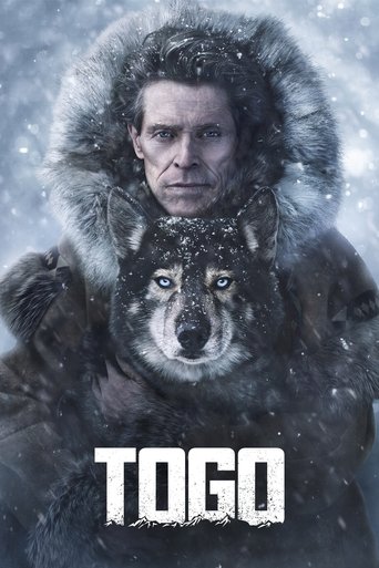 The poster features a rugged man in a heavy, fur-lined coat standing amidst a snowy landscape, with a fierce wolf staring back at him. The muted tones of gray and white convey a cold, mysterious atmosphere, while the bold, distressed font of "TOGO" adds a gritty, dramatic feel to the image.