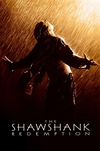 The poster features a silhouette of a man in a rainstorm, arms outstretched against a golden light. The title "The Shawshank Redemption" is prominently displayed at the bottom. The mood is somber yet hopeful, emphasizing resilience and hope amidst adversity.