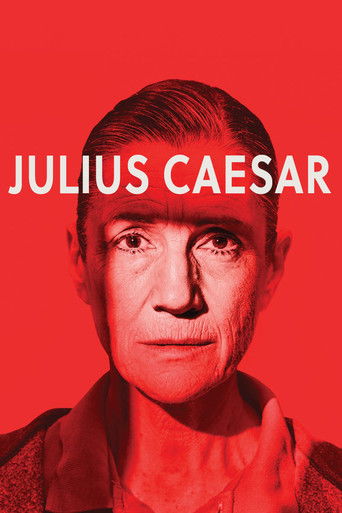 The poster features a close-up portrait of Julius Caesar against a vivid red background, with the title prominently displayed in bold white letters. The intense gaze and somber expression convey a sense of historical drama and tension.