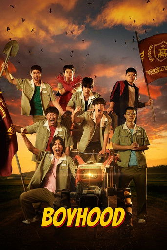 The poster features a group of young people in vintage school uniforms against a dramatic sunset sky. The warm orange and yellow hues evoke nostalgia and warmth, while the group's camaraderie and youthful energy create a sense of friendship and adventure. The title "BOYHOOD" is prominently displa...
