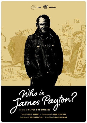 The poster features a central figure in a dark jacket against a warm, sepia-toned background. Two other characters are visible in the background, suggesting a film about a detective. The mood is mysterious and intriguing, with the question posed in bold text inviting viewers to uncover the truth.