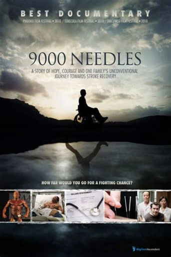 The poster features a silhouette of a person sitting on a rock against a dramatic sky, with their reflection mirrored in calm water below. The muted earthy tones and dark silhouette evoke a somber, reflective mood. The title "9000 Needles" is prominently displayed in bold, white lettering.