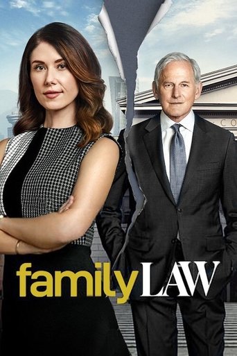 The poster features a woman in a black dress with a man in a suit standing side by side against a backdrop of modern architecture. The warm lighting and professional attire suggest a serious, legal drama tone, with the bold "family LAW" text anchoring the image.