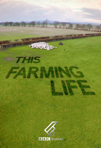 The poster features a lush green field where people are arranged in a pattern resembling the words "THIS FARMING LIFE." The scene is vibrant and sunny, evoking a sense of rural tranquility and community. The BBC Scotland logo is visible at the bottom, indicating the show's origin.