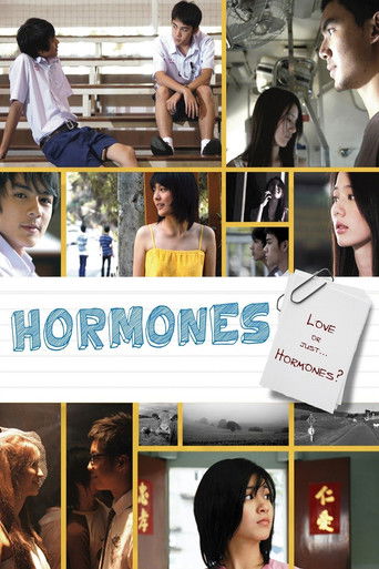 The poster features a collage of diverse characters in vibrant, contrasting colors—blues, yellows, and warm tones. The mood is nostalgic yet hopeful, suggesting themes of identity and self-discovery. The title "Hormones" is prominently displayed in bold, white letters, hinting at the movie's expl...