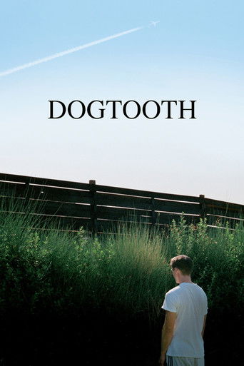 The poster features a lone man in a white shirt standing amidst tall grass under a clear blue sky, evoking a sense of solitude and introspection. The minimalist design, with its simple black text and natural landscape, suggests a story about personal growth and the search for meaning.