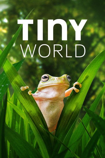 The poster features a vibrant green frog nestled among lush leaves, exuding a serene and natural mood. Bold white text reads "TINY WORLD" against the backdrop of nature, suggesting an educational or documentary series exploring the small world around us.