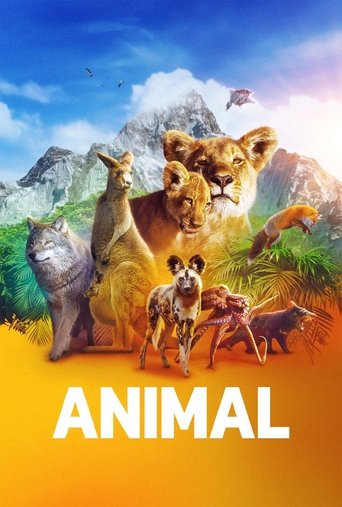 The poster features a vibrant jungle scene with lions, zebras, and other animals in a colorful sunset setting. The warm orange and yellow tones evoke a sense of adventure and excitement, while the majestic mountains in the background add depth and grandeur.