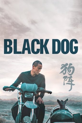 The poster features a man riding a teal bicycle against a cloudy sky, with the title "BLACK DOG" prominently displayed in bold letters. The mood is mysterious and slightly melancholic, evoking a sense of solitude and introspection.