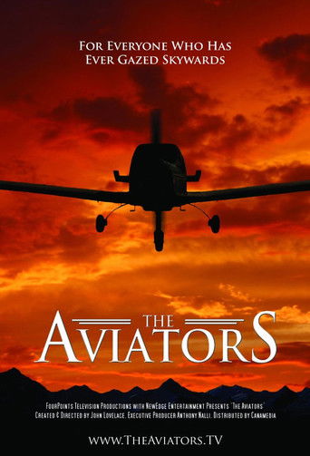 The poster features a silhouette of an airplane against a dramatic sunset, evoking a sense of adventure and freedom. The warm orange and red hues create a powerful backdrop that captures the spirit of exploration. The text "For Everyone Who Has Ever Gazed Skywards" adds an inspiring message, invi...