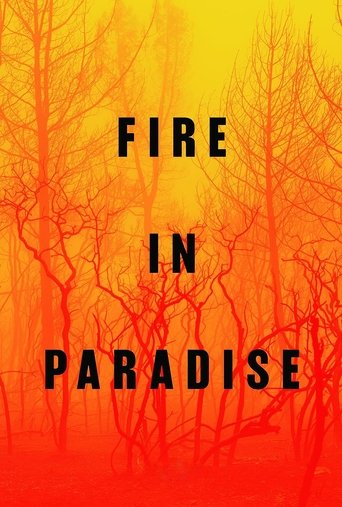 The poster features silhouetted, bare trees against a fiery orange and yellow gradient background, evoking a sense of danger and mystery. The bold, black text "FIRE IN PARADISE" stands out prominently, suggesting a thrilling or suspenseful narrative.