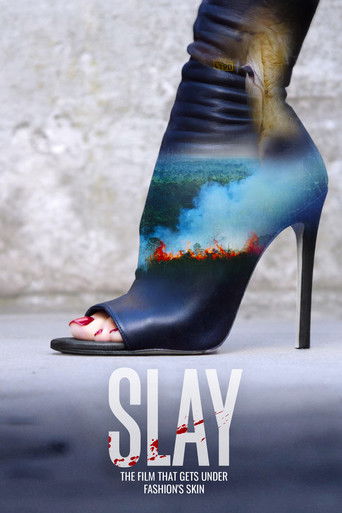 The poster features a striking close-up of a high-heeled shoe, its sole adorned with an artistic depiction of flames and smoke against a dark blue background. The bold, white title "SLAY" dominates the lower portion, accompanied by the tagline "The film that gets you hungry." The overall composit...