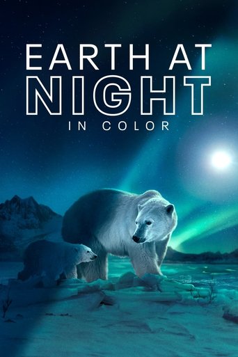 The poster features a polar bear standing on a snowy landscape under a starry sky. The title "Earth at Night in Color" is prominently displayed in bold white letters. The cool blue tones evoke a serene and mysterious atmosphere, while the glowing aurora adds a magical touch.
