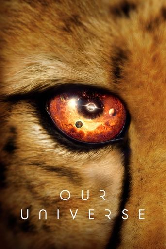 The poster features a close-up of a lion's eye, with warm golden tones and subtle shadows that evoke mystery and depth. The text "OUR UNIVERSE" is elegantly placed at the bottom, suggesting a cosmic or philosophical theme. The overall mood is one of introspection and wonder, inviting viewers to e...