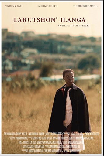 The poster features a man in a black cloak standing against a warm, golden sunset backdrop. The muted earthy tones and soft lighting evoke a sense of melancholy and introspection, capturing the essence of the film's emotional depth.