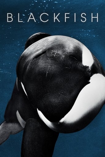 The poster features a striking black and white orca whale against a deep blue backdrop, evoking mystery and the ocean's vastness. The title "BLACKFISH" is prominently displayed at the top, suggesting an intriguing story about a marine creature.