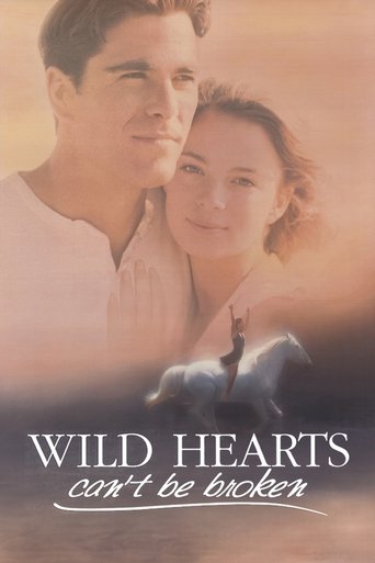 The poster features a tender moment between a man and woman, with warm, golden hues creating a romantic atmosphere. The title "Wild Hearts Can't Be Broken" is elegantly displayed in white text, emphasizing the emotional depth of the film.