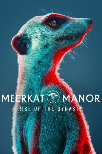 The poster features a majestic meerkat with vibrant blue and red fur, set against a deep blue background. The title "Meerkat Manor" is prominently displayed in bold white letters, with the subtitle "Rise of the Dynasty" beneath it. The meerkat's intense gaze and regal posture evoke a sense of mys...