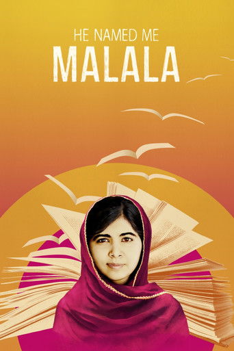 The poster features a young woman in a vibrant pink hijab against a warm sunset backdrop. Birds soar above, symbolizing hope and freedom. The title "He Named Me Malala" is prominently displayed, hinting at the film's inspirational narrative.