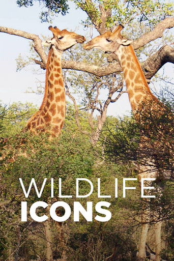 This poster features two giraffes with their long necks reaching for branches, surrounded by lush green foliage. The warm orange and brown tones of the giraffes contrast beautifully with the vibrant greens of the trees. The text "WILDLIFE ICONS" in bold white letters adds a modern touch, suggesti...
