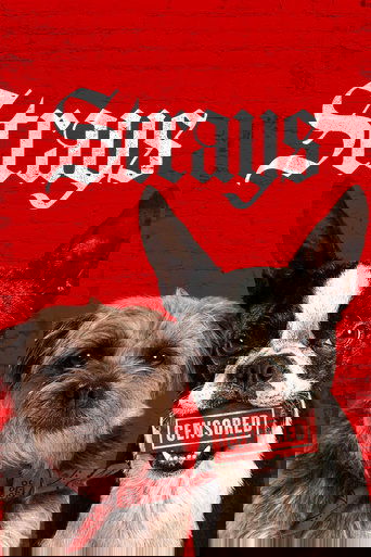 Strays poster