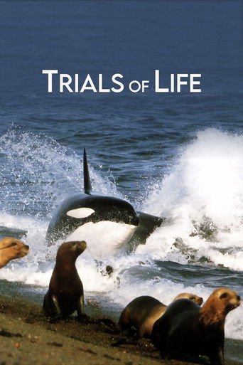 The poster features a dramatic scene of a killer whale crashing against the ocean, with seals resting on the shore below. The deep blue water and white waves create a powerful, natural backdrop, while the bold white text "TRIALS OF LIFE" anchors the composition. The mood is intense yet serene, ca...