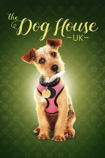 The Dog House poster features a cheerful terrier with a pink bow tie, sitting against a green backdrop. The playful and inviting design suggests a fun, cozy doghouse experience, capturing the essence of a warm, homey atmosphere.