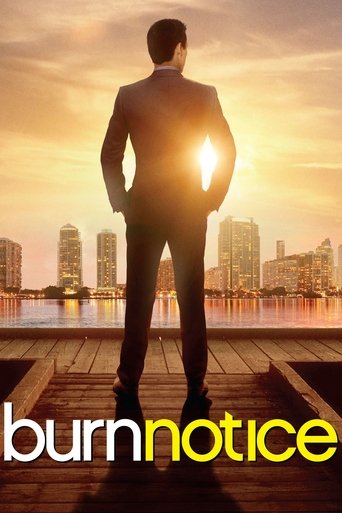 The poster features a silhouetted man in a suit standing on a dock at sunset, with a city skyline in the background. The warm golden hues of the sky create a dramatic and mysterious atmosphere. The title "Burn Notice" is prominently displayed in bold, contrasting colors.