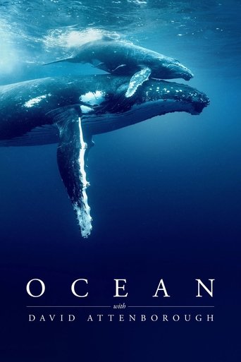 The poster features a majestic humpback whale gliding through deep blue ocean water, evoking a sense of awe and tranquility. The deep navy blue background enhances the serene mood, while the white text of the title and author's name stands out against the rich, calming hues.