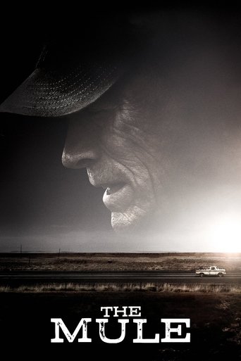 The poster features a shadowy cowboy silhouette against a bright, sunlit horizon, evoking a mysterious and suspenseful mood. The title "The Mule" is prominently displayed at the bottom in bold, white letters.