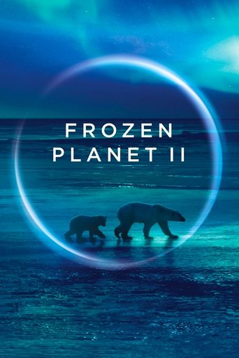 The poster features silhouettes of three polar bears against a serene, icy landscape under a twilight sky. A glowing blue orb frames the title, evoking a sense of wonder and mystery. The cool blue tones and soft lighting create a peaceful yet mysterious atmosphere, hinting at the story's themes o...