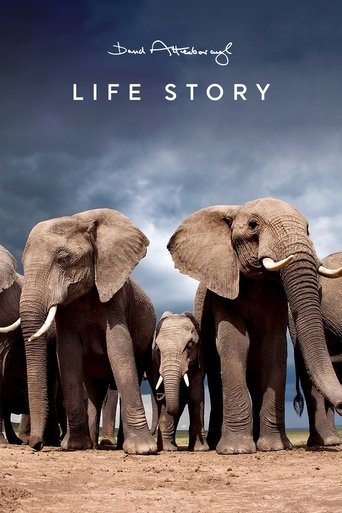 The poster features a group of elephants standing in a vast, arid landscape under a dramatic sky. The muted earth tones and soft lighting evoke a sense of calm and natural beauty, while the title "Life Story" suggests a narrative about the enduring journey of these magnificent creatures.