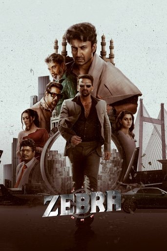 This movie poster features a gritty urban scene with a central figure in a suit and sunglasses, surrounded by other characters in varied attire. The muted tones and shadowy cityscape evoke a noir atmosphere, while the metallic "ZEBRA" title adds a mysterious, high-stakes feel.
