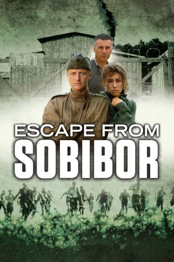 The poster features three characters in a somber, muted color palette. The title "Escape from Sobibor" is prominently displayed in bold white letters, evoking a sense of urgency and historical gravity. The background shows soldiers marching through a desolate landscape, adding to the film's tense...