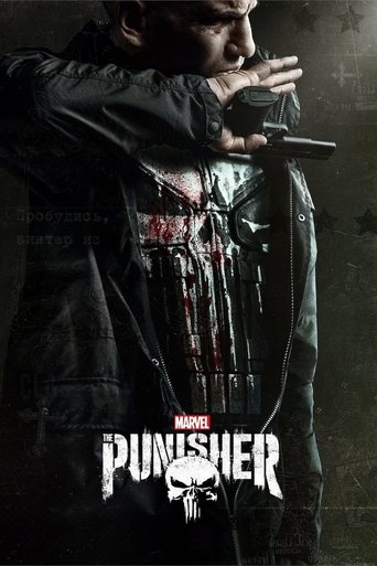 The Punisher poster features a gritty, dark scene with a man in a leather jacket holding a gun, exuding a menacing and intense mood. The color palette is dominated by dark tones, with splashes of red and white from the title and the man's clothing, creating a stark and dramatic visual.