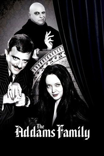 This black-and-white poster features three characters against a dark curtain backdrop. The mood is eerie and mysterious, with the Addams family members exuding their iconic grumpy and gothic charm. The poster captures the essence of the show's dark humor and supernatural elements.