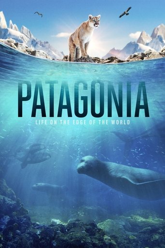 The poster features a majestic polar bear standing on a snowy peak, symbolizing the harsh yet beautiful environment of Patagonia. The underwater scene below shows a serene whale swimming near rocky coral formations, blending the wild and tranquil. The deep blue tones evoke a sense of mystery and ...