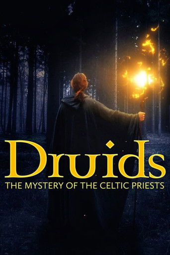 Druids: The Mystery of Celtic Priests poster