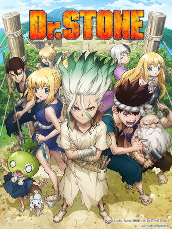 This vibrant anime poster features Dr. Stone in his iconic green outfit, surrounded by diverse characters in a sunny outdoor setting. The dynamic composition captures the adventurous spirit of the show, with rich colors and an energetic mood that invites viewers into the world of Dr. Stone.