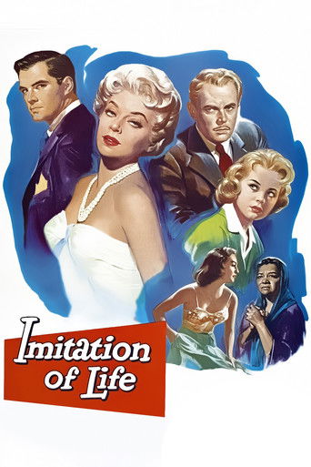 This vintage movie poster features glamorous women in stylish outfits against a blue background, evoking a classic Hollywood era aesthetic. The bold red "Imitation of Life" logo anchors the composition, suggesting a timeless theme of imitation and mimicry.